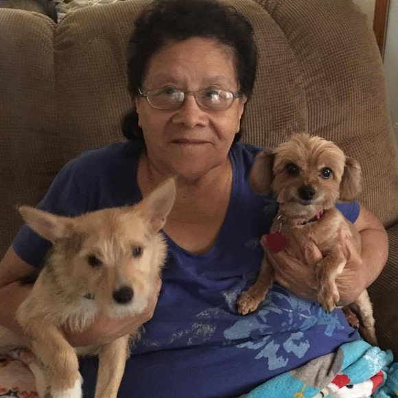 Meet your Posher, Julia - Picture 1 of 1